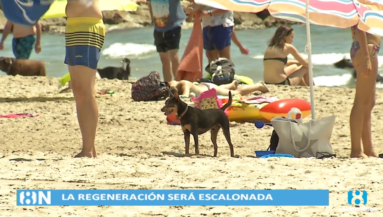 Valencia acuerda con Costas que el cierre de la playa de l’Arbre del Gos sea escalonado