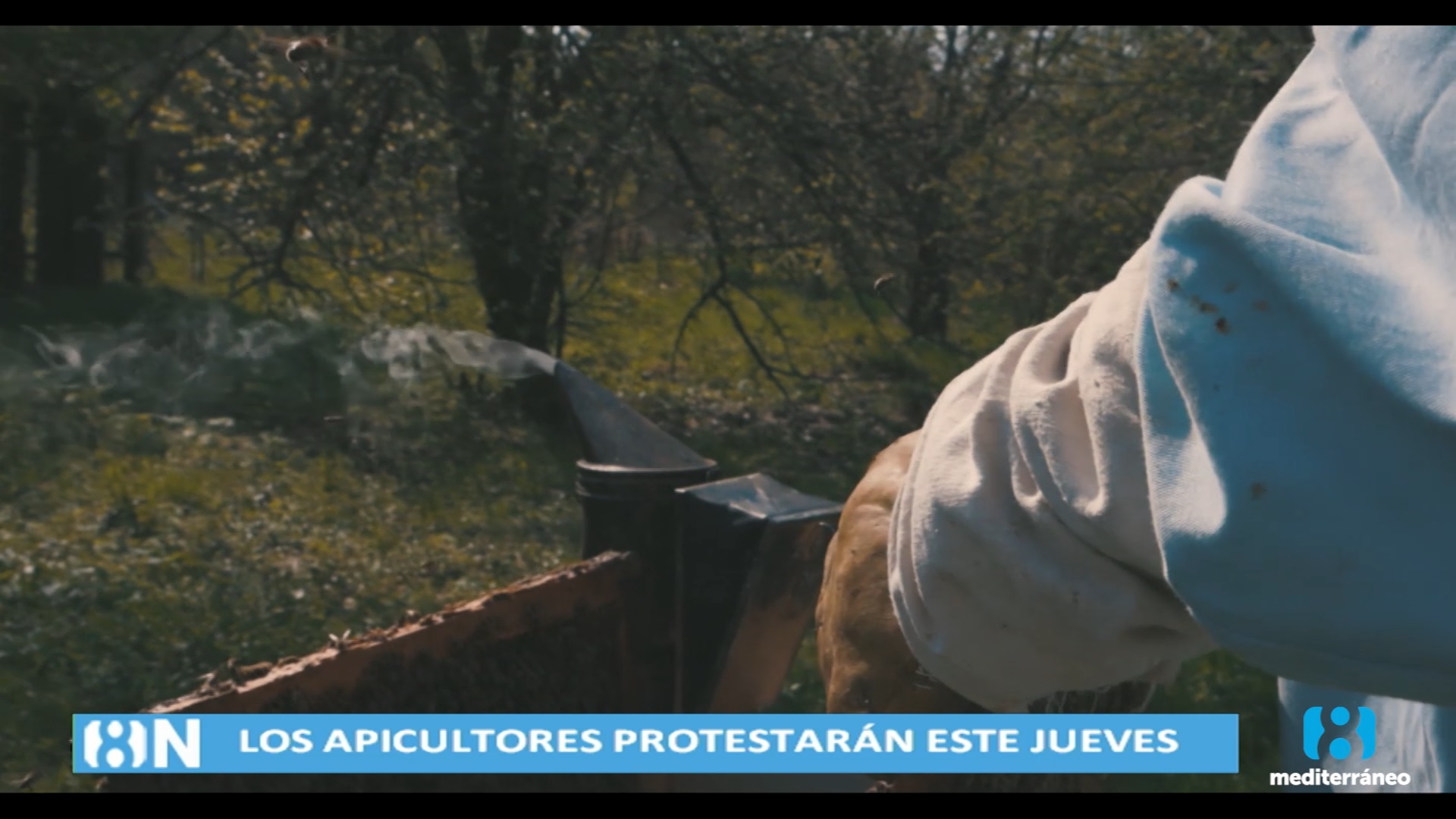 Los apicultores valencianos protestan este jueves frente a la Conselleria de Agricultura