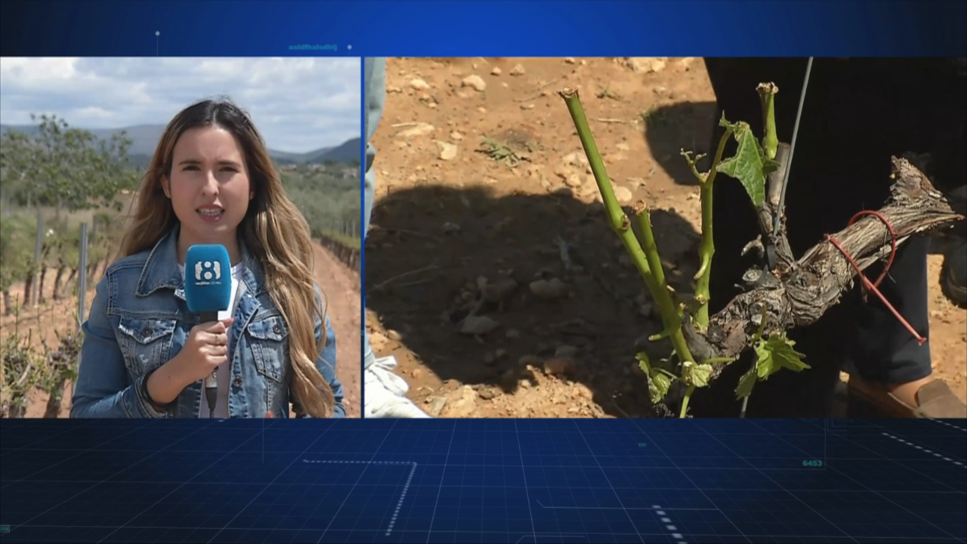 El último episodio de pedrisco vuelve a destrozar el campo