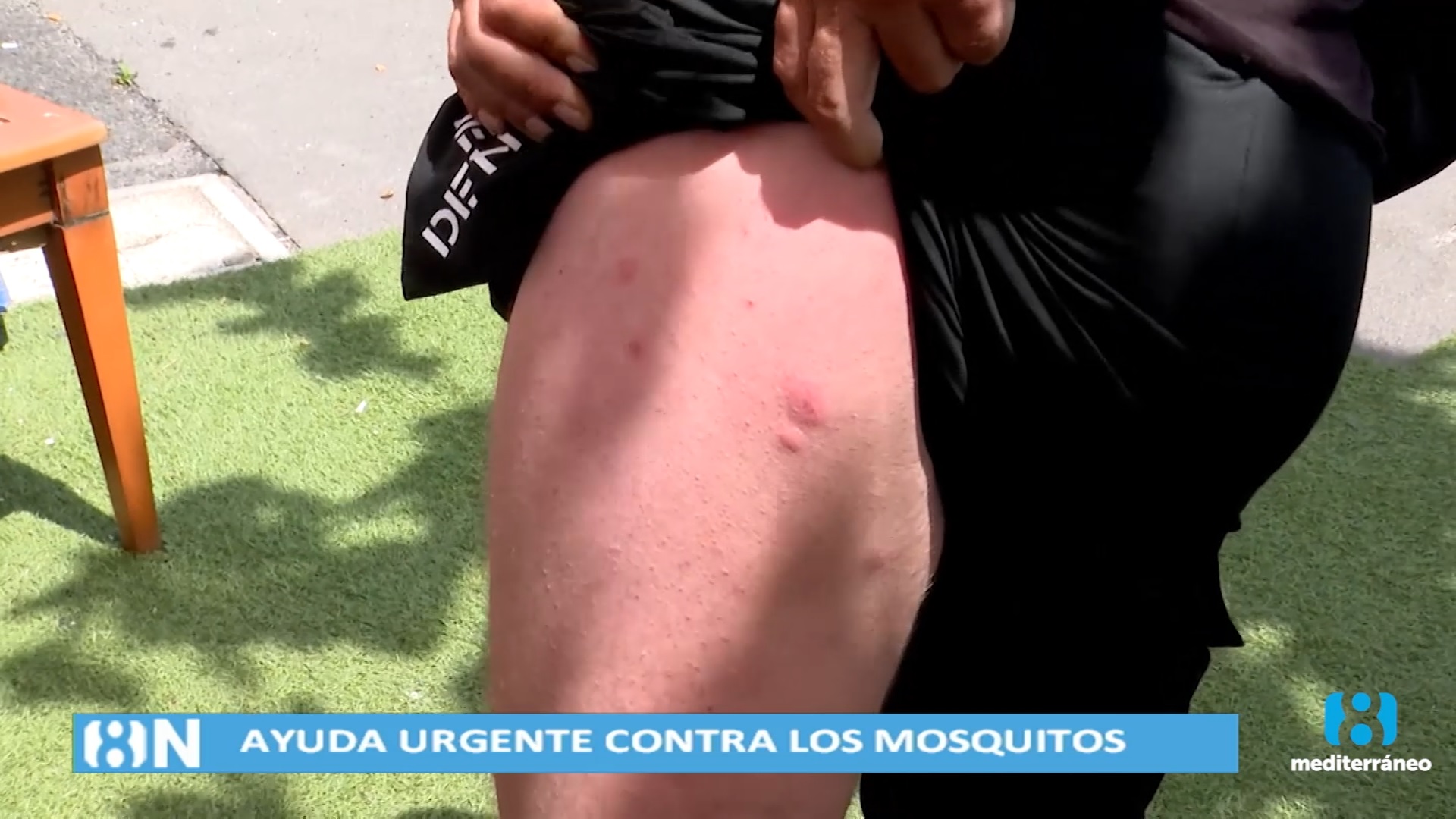 La plaga de mosquitos se extiende por Castellón