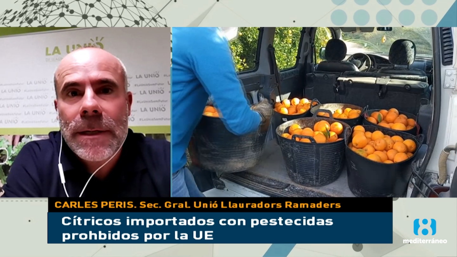 La Unió de Llauradors detecta pesticidas prohibidos en cítricos de Sudáfrica y Argentina