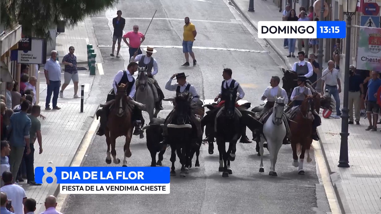 Sigue en directo la Entrada de Toros y Caballos de Cheste en La 8 Mediterráneo