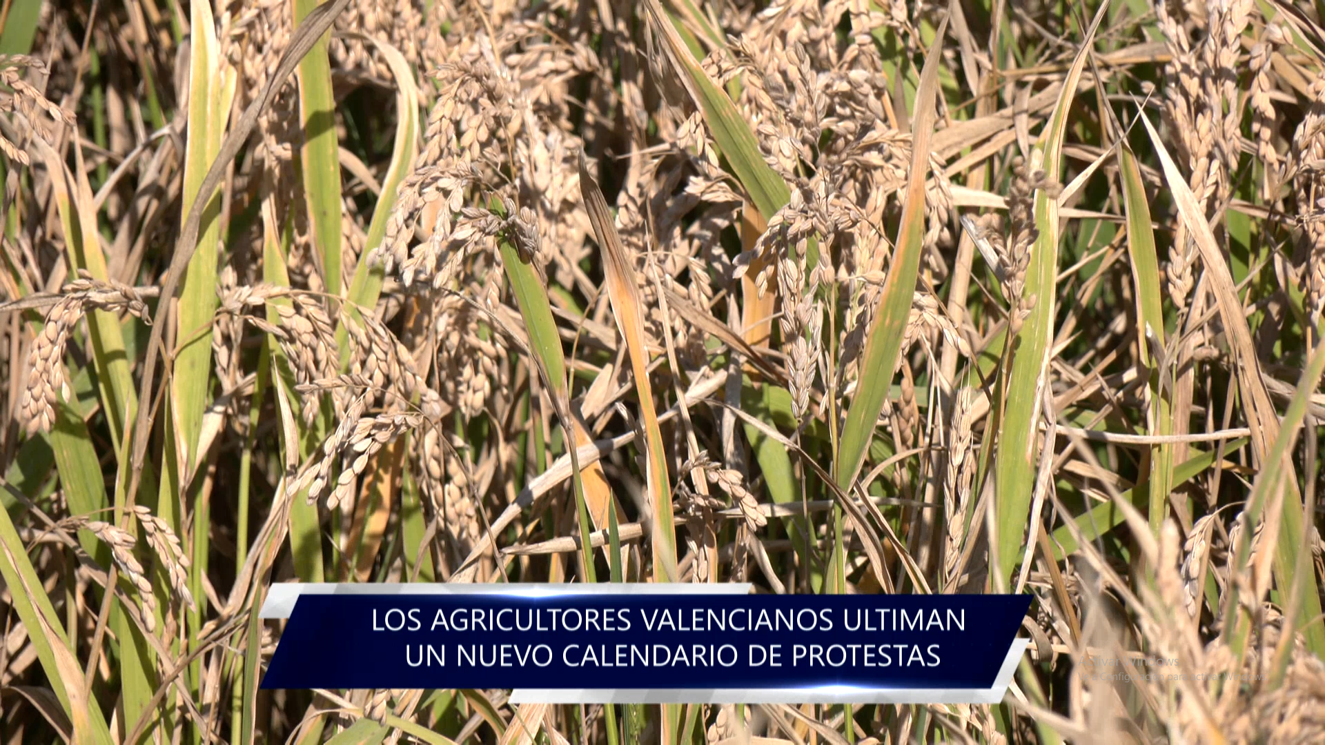 Los agricultores valencianos ultiman el calendario con nuevas protestas contra la UE 