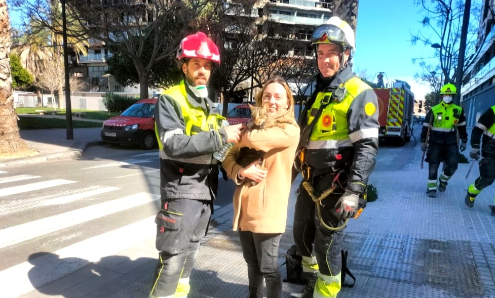 Rescatan vivo a un gato en el edificio incendiado en Campanar