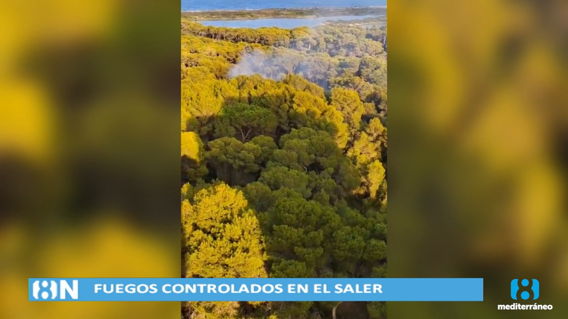 El fuego se convierte en protagonista del paraje natural de El Saler