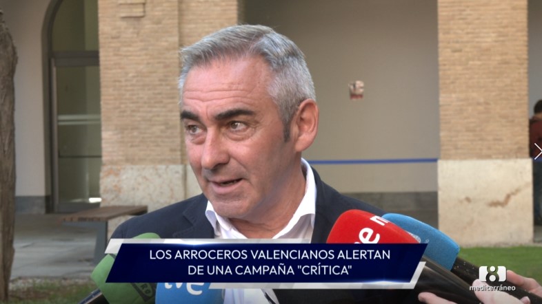 La Generalitat pide activar las salvaguardas para proteger el arroz valenciano