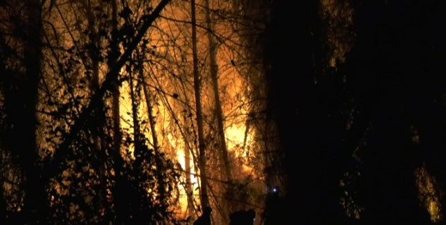 Estabilizado el incendio forestal de Tárbena