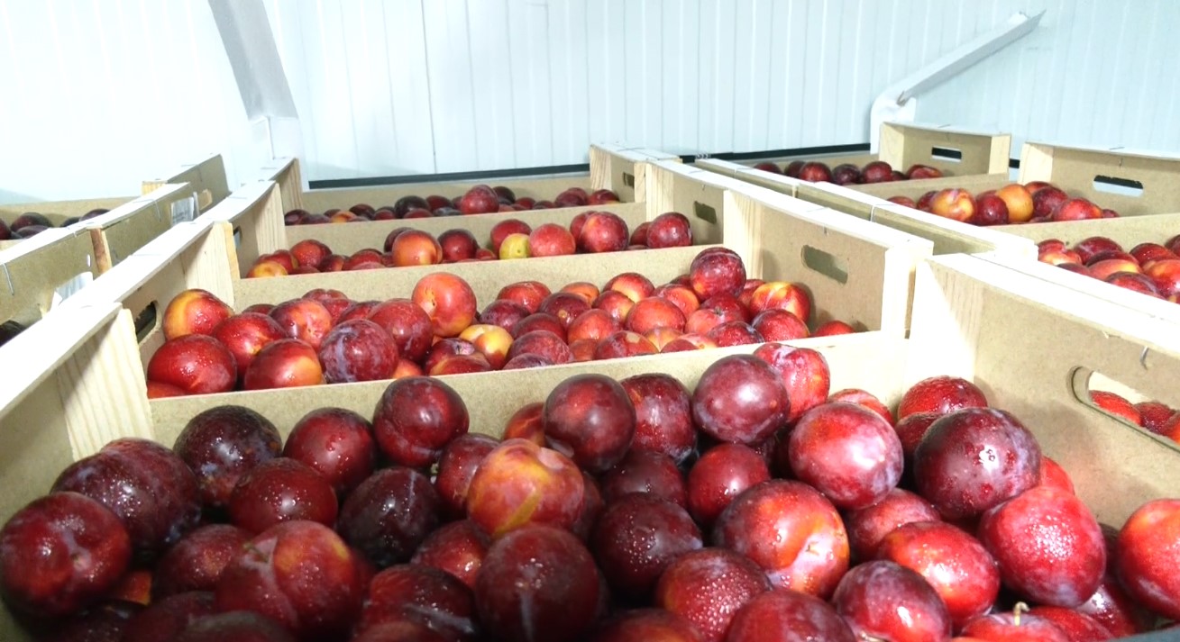 Los bancos de alimentos alertan de la falta de donaciones