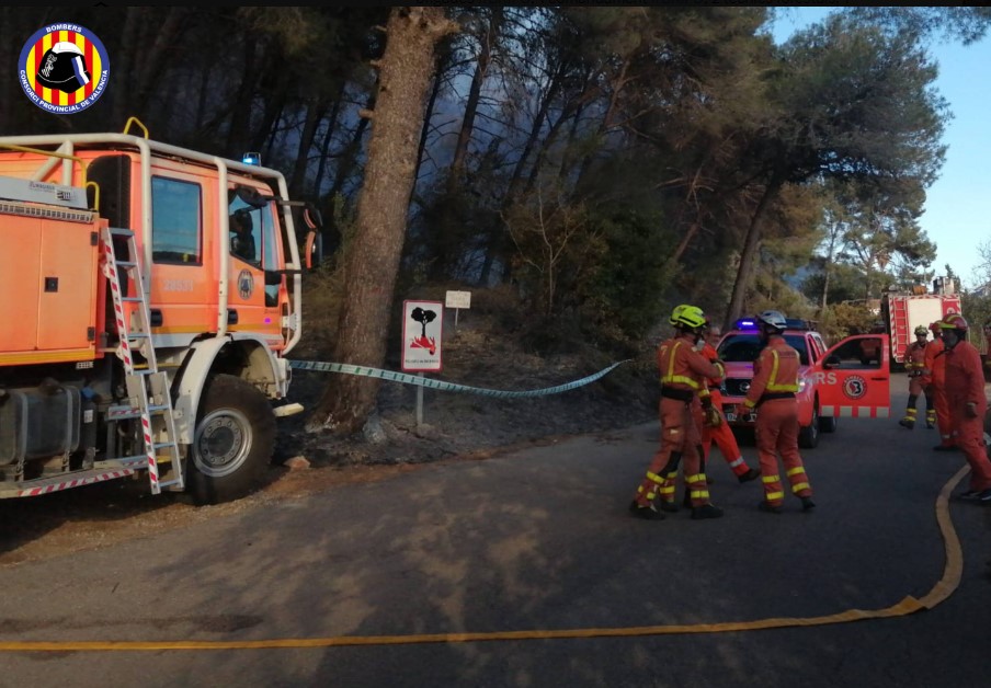 Controlado el incendio forestal de Alzira tras quemar 40 hectáreas