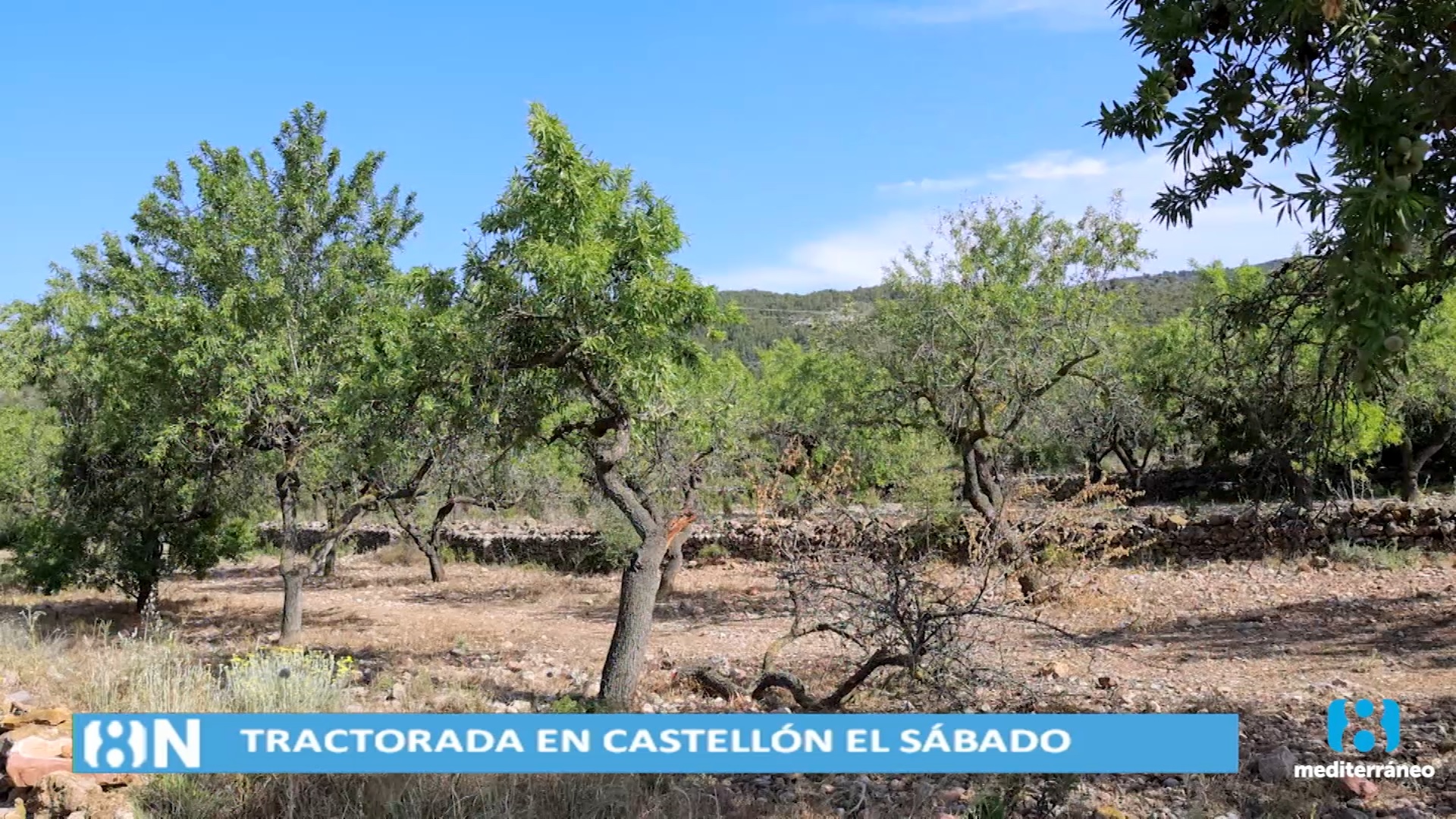 Castellón se prepara para una tractorada por las principales vías de la ciudad