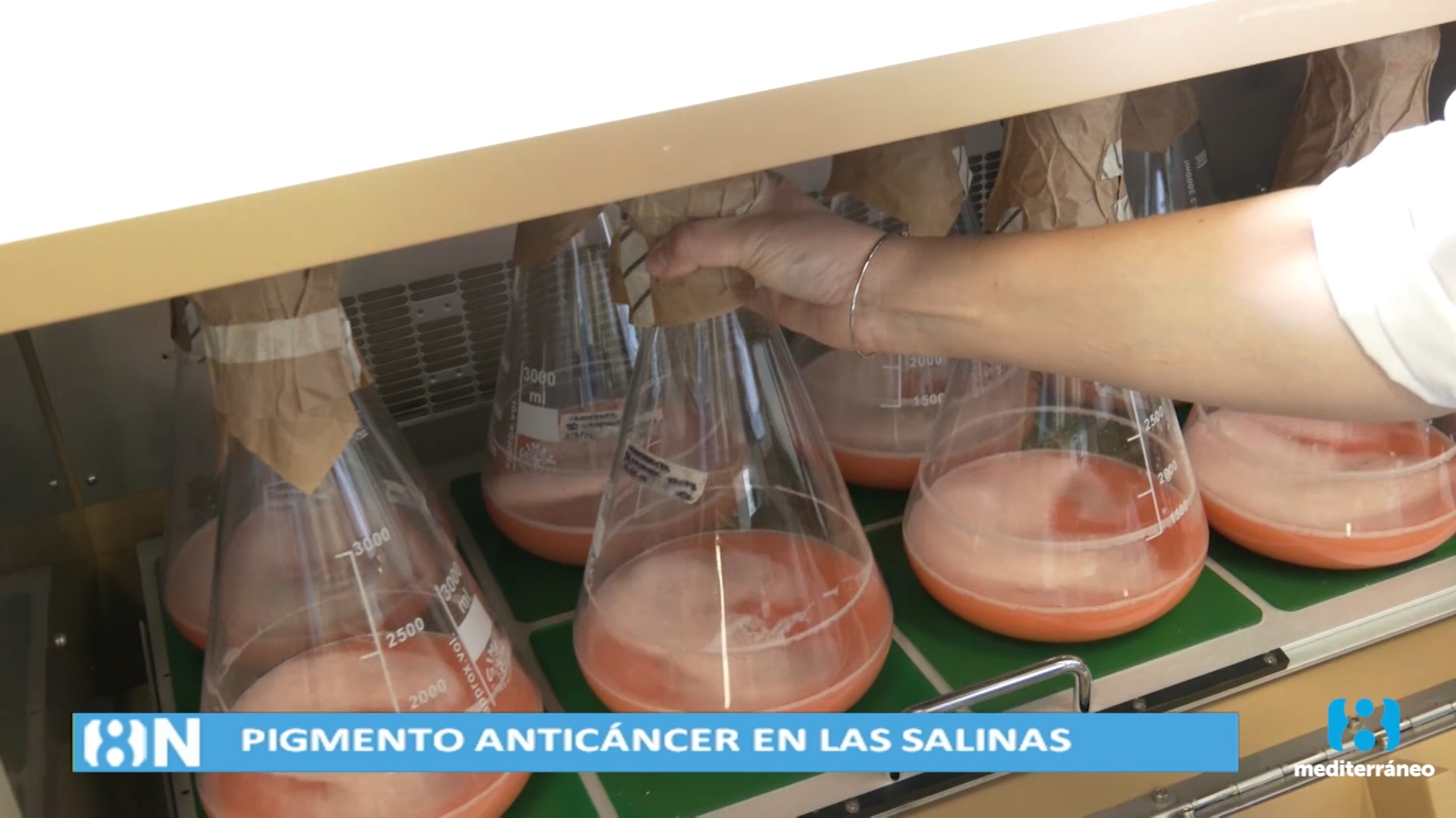 Identifican en las salinas de Santa Pola un pigmento anticancerígeno del cáncer de mama