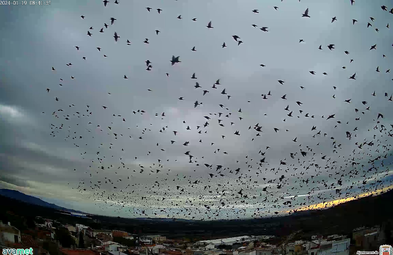 Pasa rápida la borrasca 