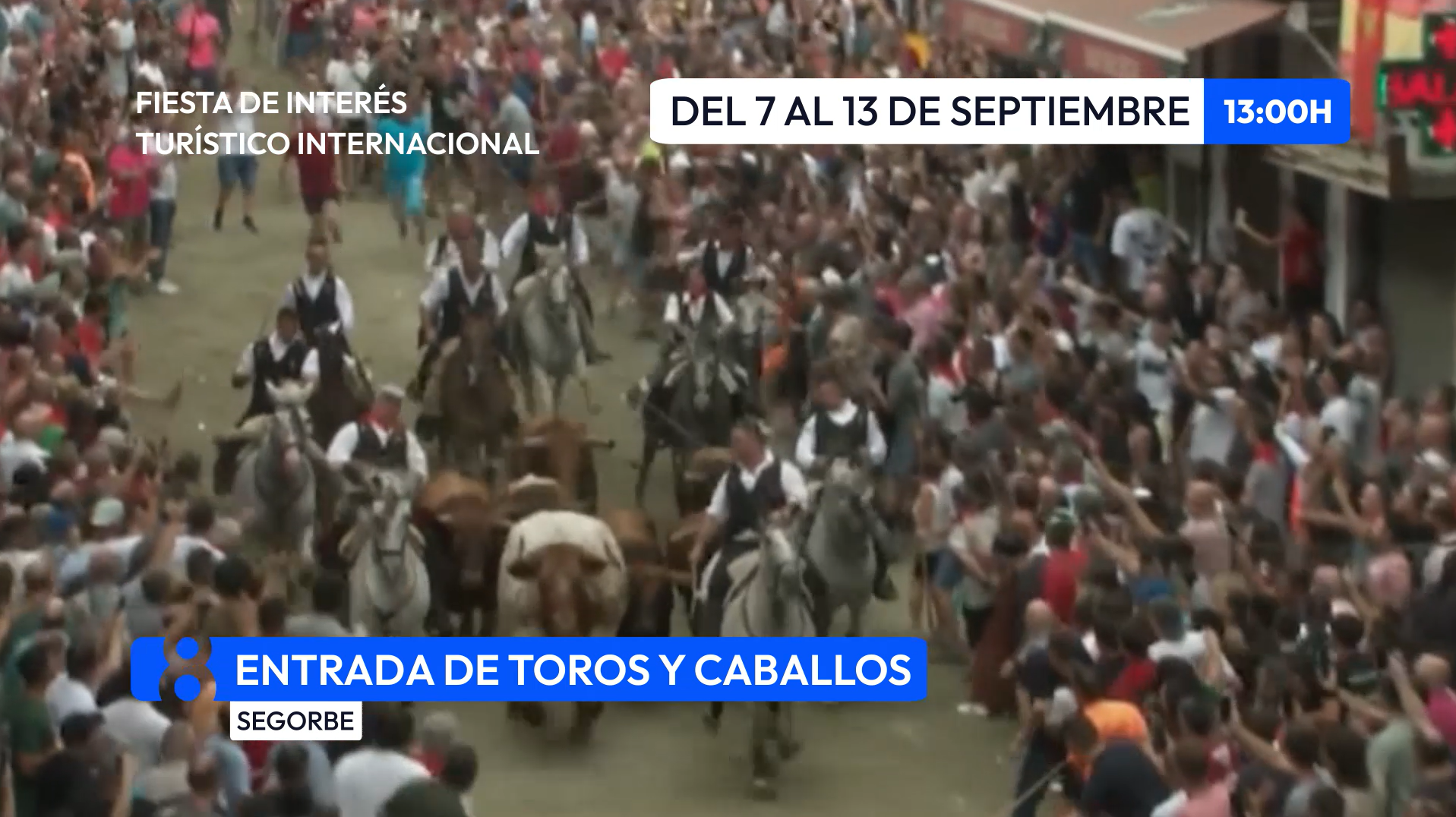 Vuelve a ver la Entrada de Toros y Caballos de Segorbe