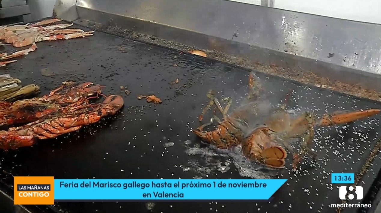 Así es la Feria del Marisco que se puede disfrutar hasta el 1 de noviembre en Valencia