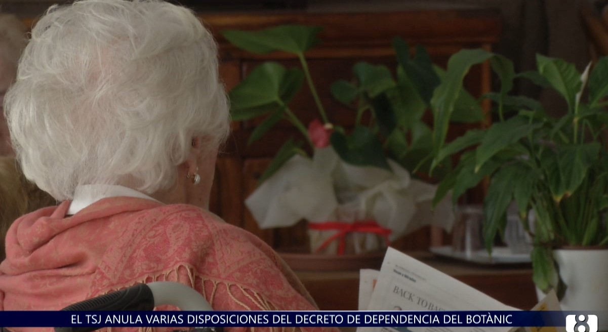 EL TSJCV anula varias disposiciones del decreto de dependencia del Botànic
