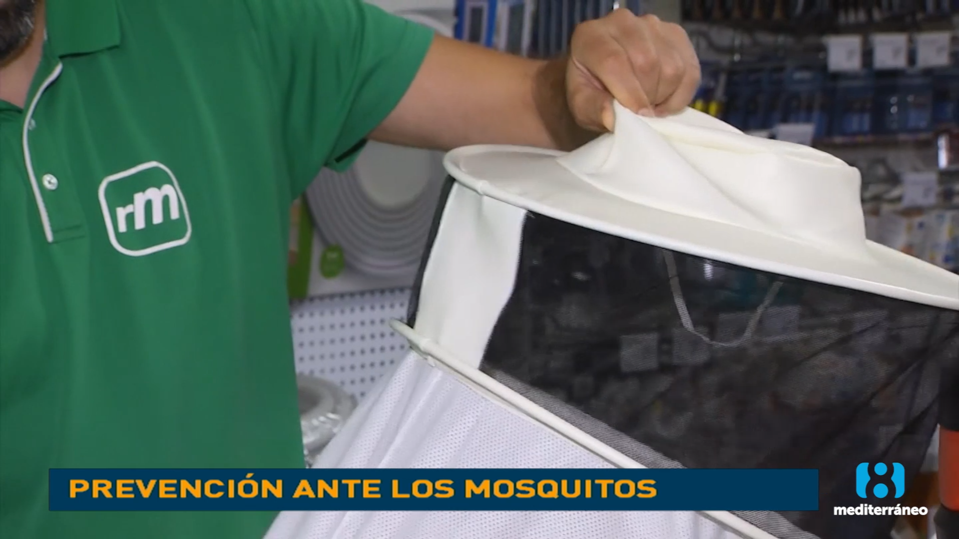 ¿Cómo luchar ante la plaga de mosquitos?