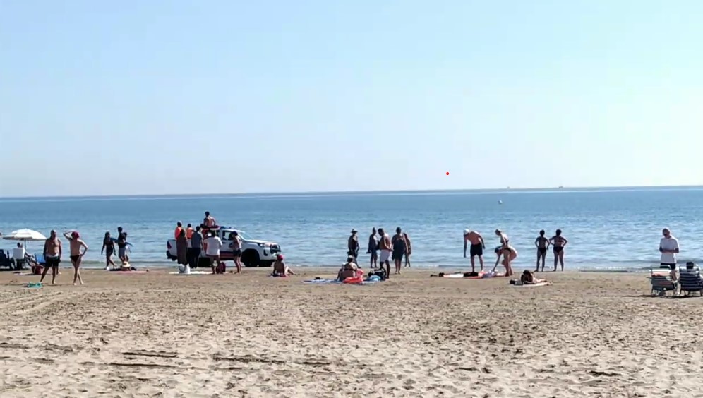 Reabren la playa de la Patacona tras descartar la presencia de una tintorera