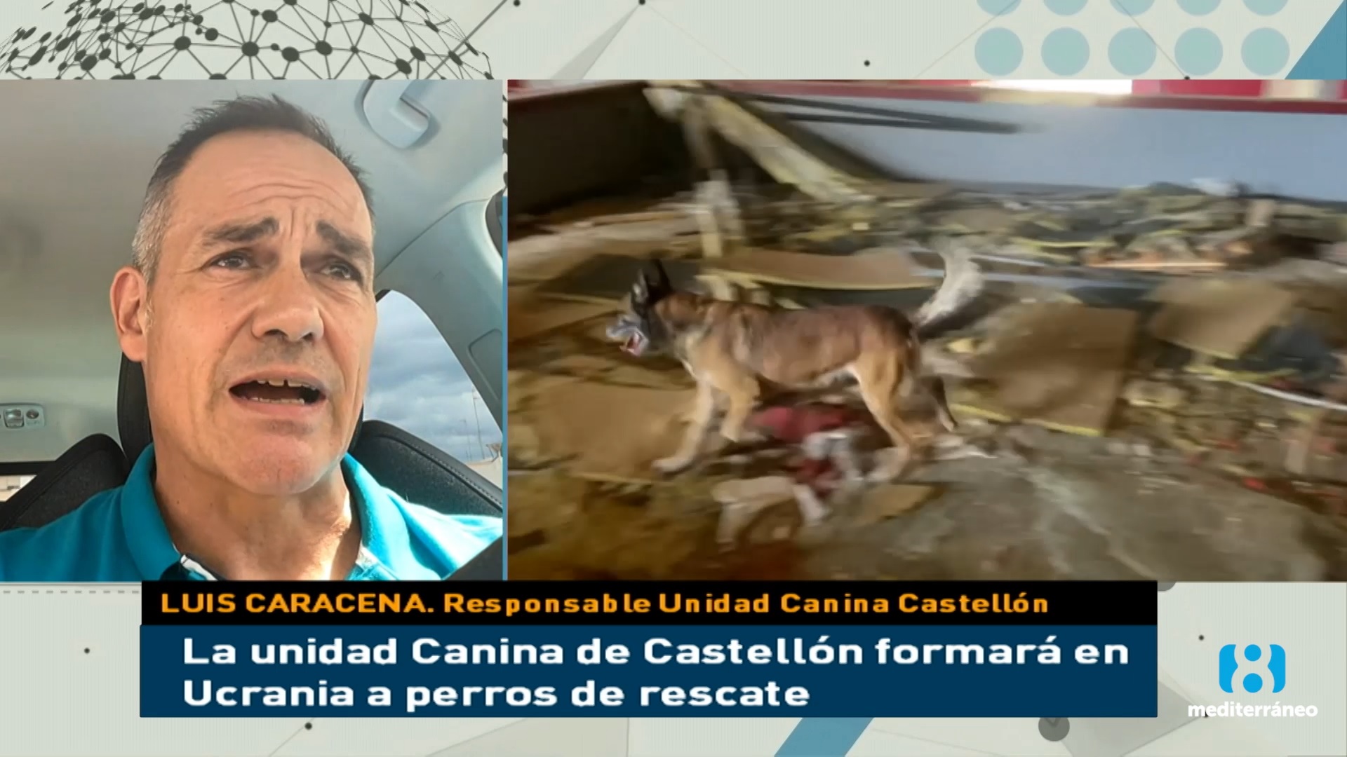 Voluntarios viajan a Ucrania para formar a perros de rescate en la búsqueda de cadáveres