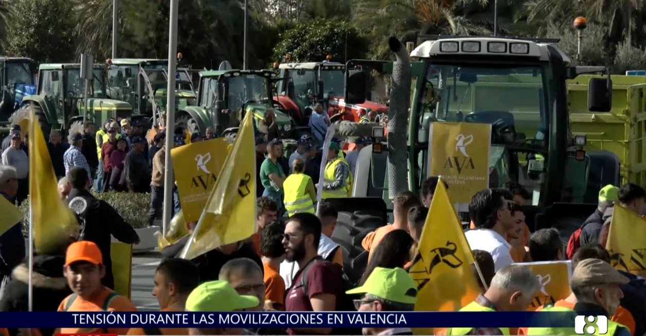 Un detenido en las protestas de agricultores en el Puerto de Valencia