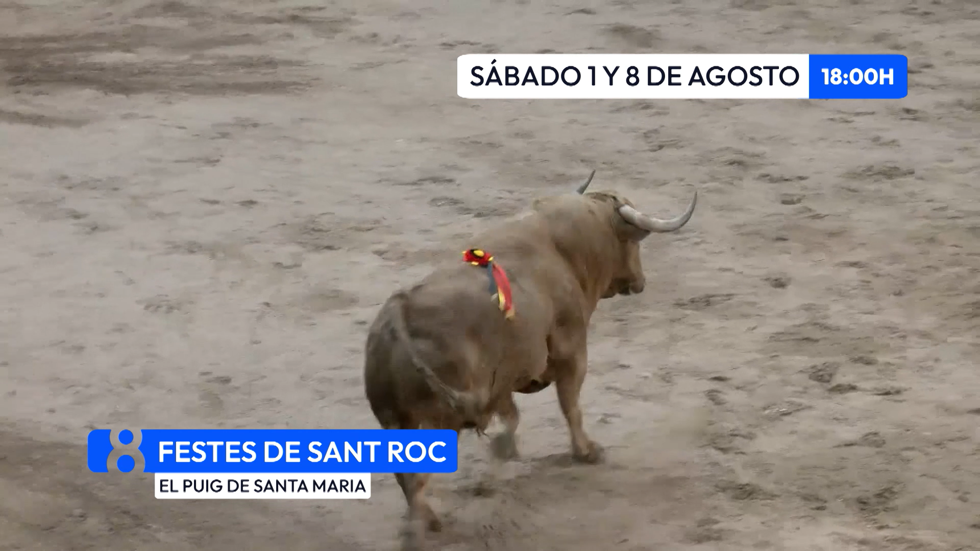 Vuelven los 'Bous al Carrer' a El Puig: Tradición, valentía y arraigo