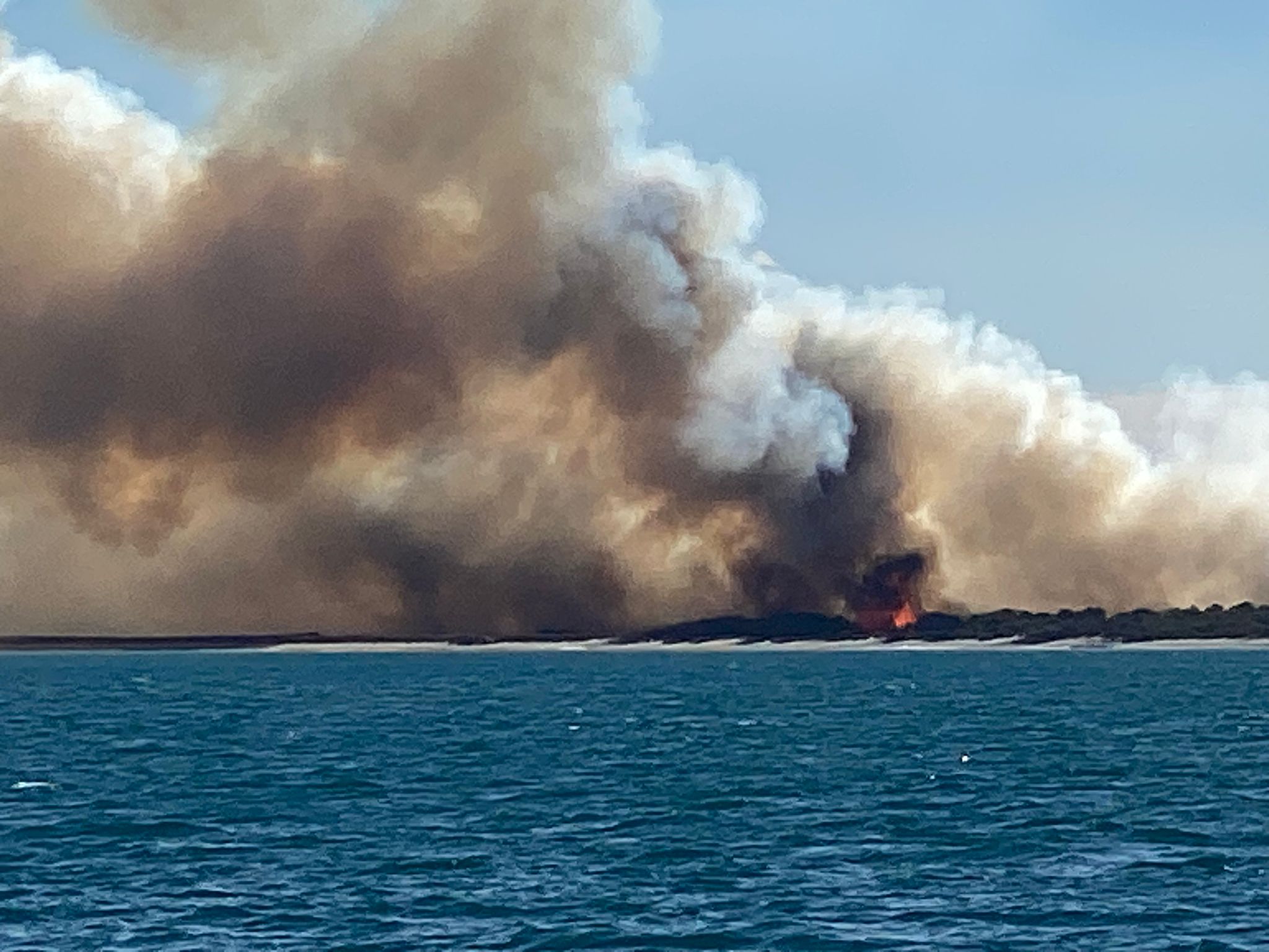 Preocupación y alarma en El Saler por la oleada de incendios