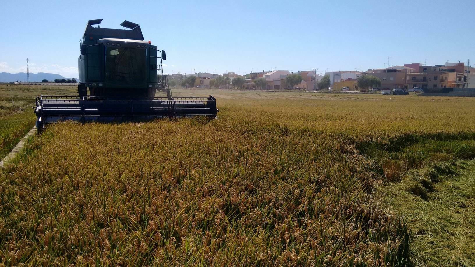 La guerra en Irán agrava la incertidumbre del campo valenciano tras Ucrania y Mercosur