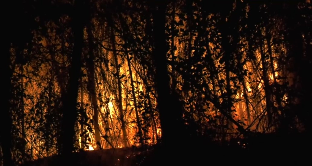 Los expertos presagian un verano complicado en los montes