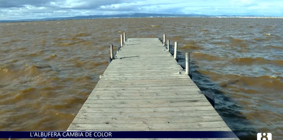 ¿Por qué el agua de l'Albufera ha cambiado de color?