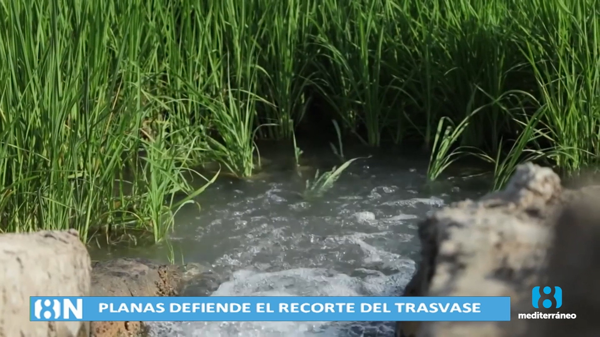 El ministro de Agricultura asegura que habrá agua para los regantes