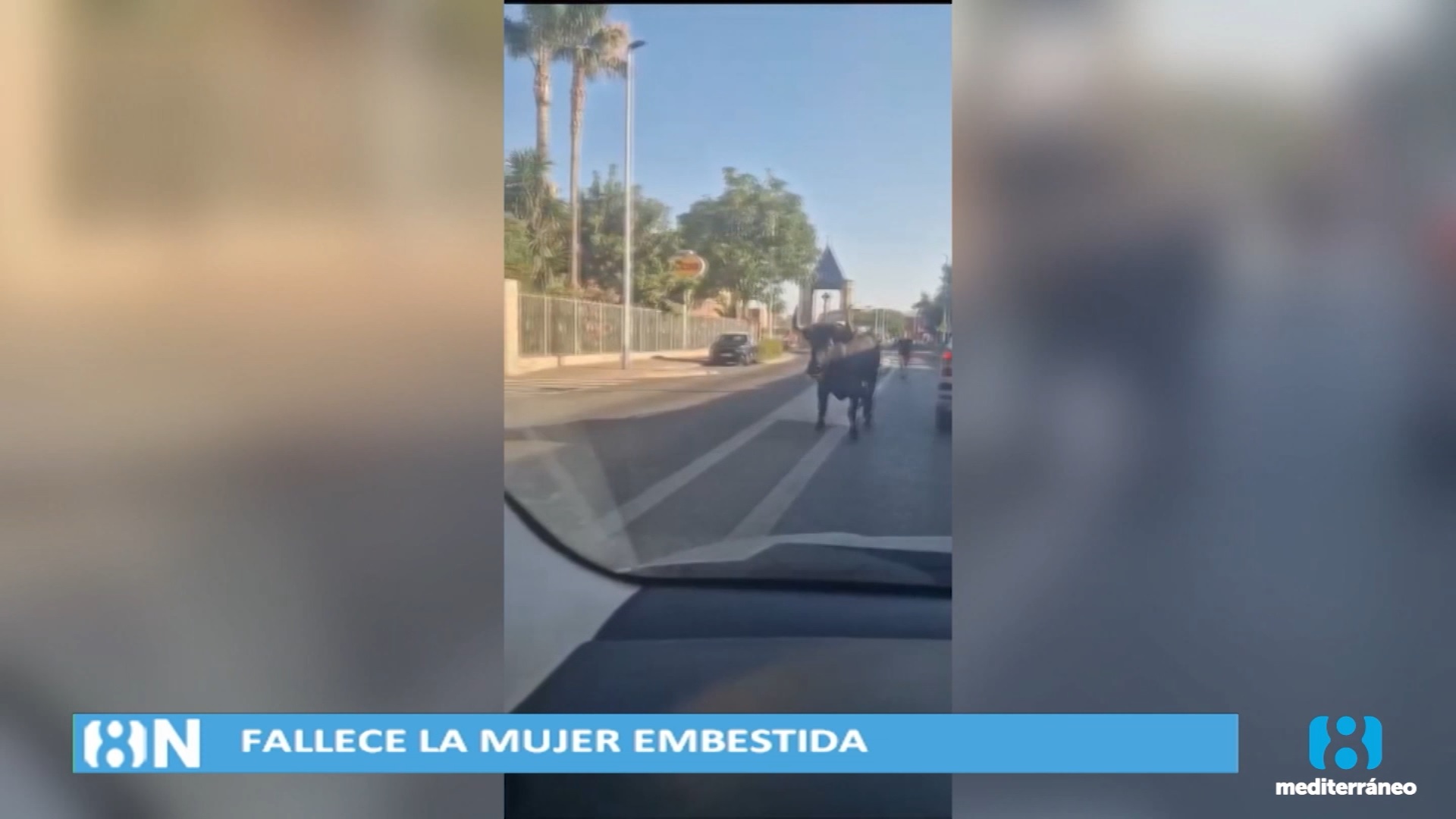 Muere la mujer que fue embestida por un toro en Almàssera