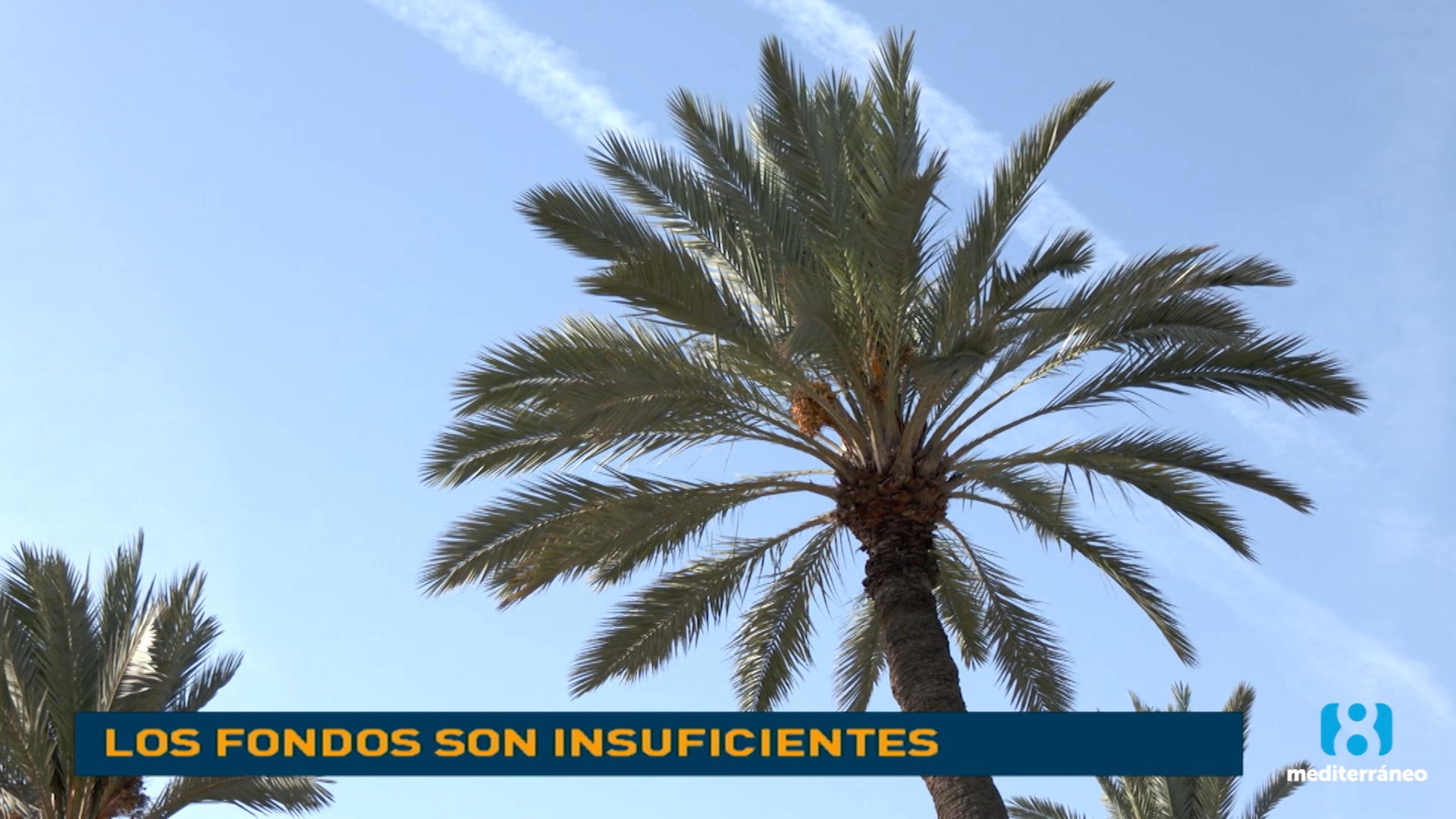 Los fondos de la Generalitat siguen siendo insuficientes para conservar de El Palmeral