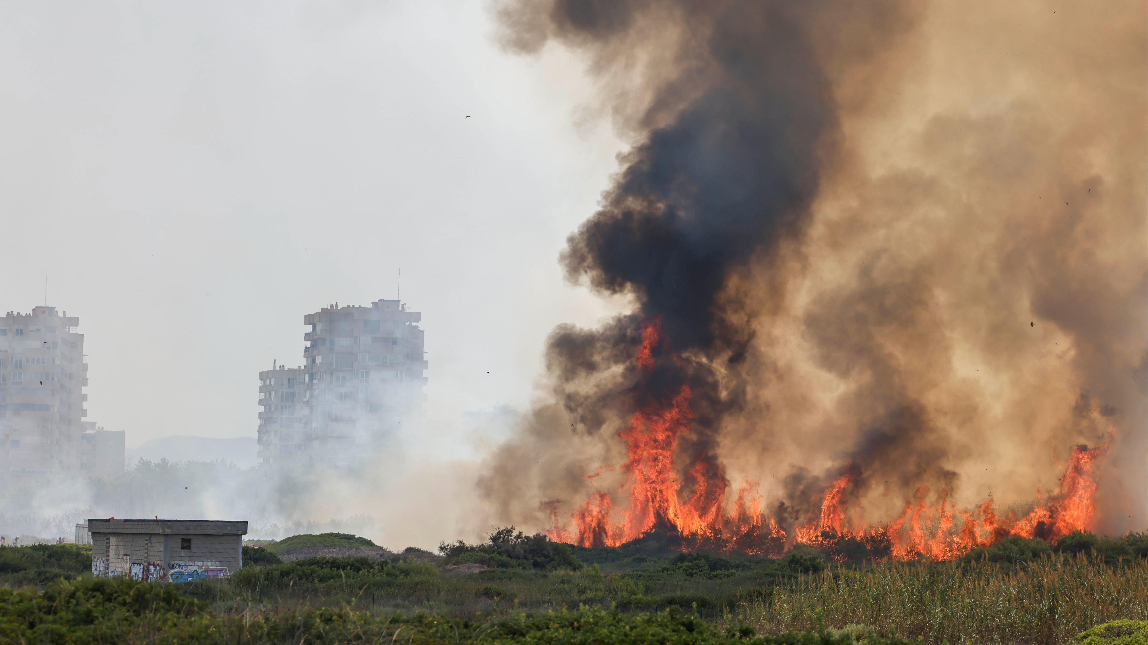 El fuego amenaza el pulmón de Valencia: El Saler resiste gracias a los efectivos