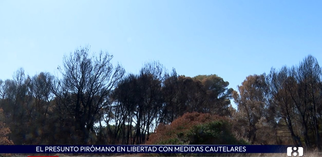 El juez deja en libertad al presunto pirómano de El Saler