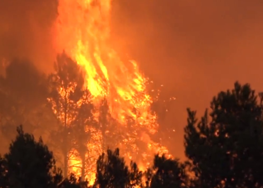Mazón incide en la necesidad de reforzar las políticas de prevención de incendios