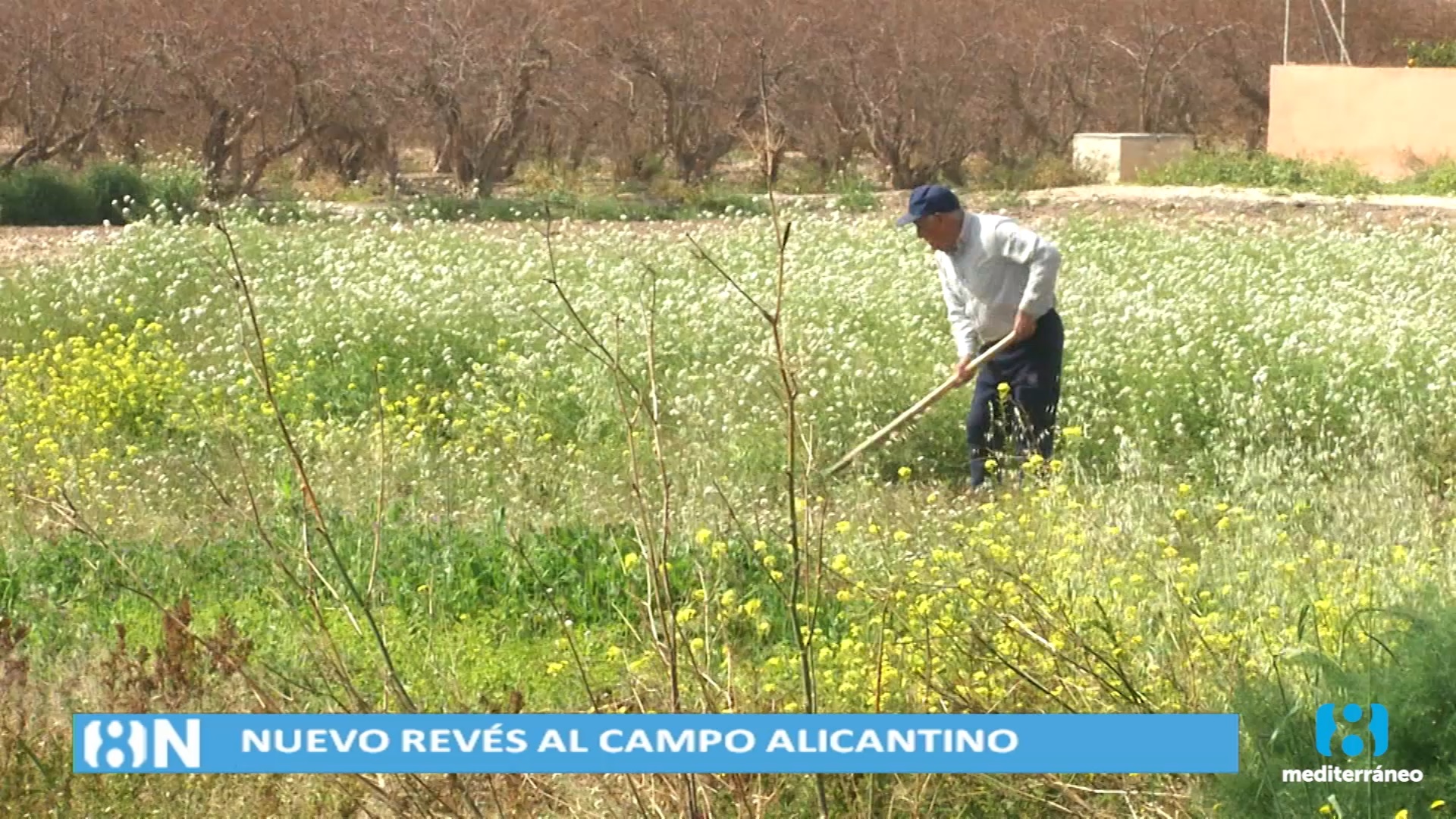 El campo alicantino vuelve a estar en pie de guerra