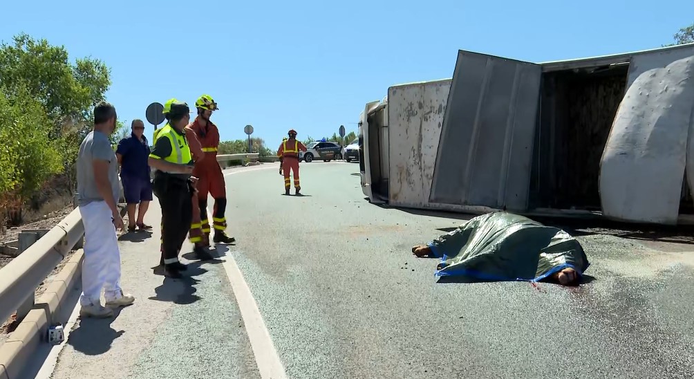 Un camión cargado de toros vuelca en la A-3 y los animales huyen por la carretera