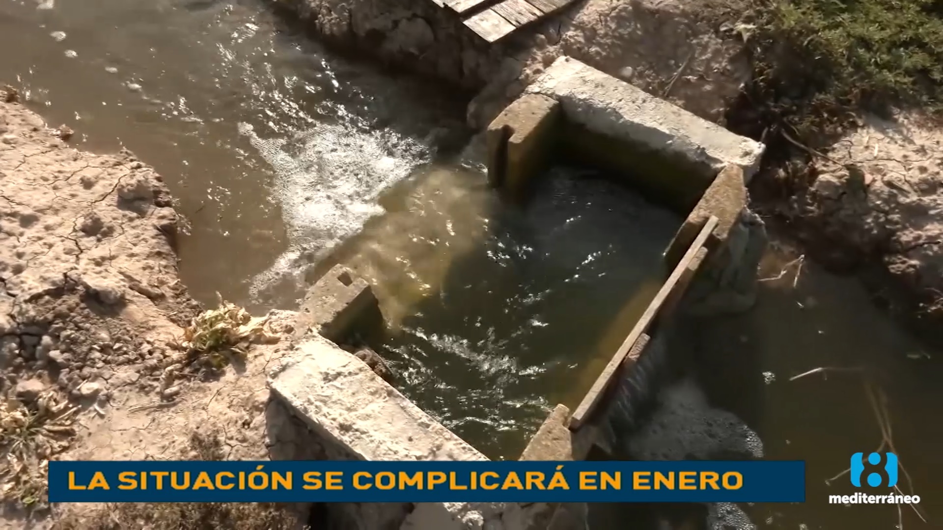 Los agricultores de Elche tratan de sobrevivir al trasvase 0