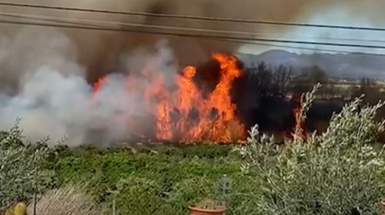 Declarado un incendio forestal en el Parque Natural del Turia