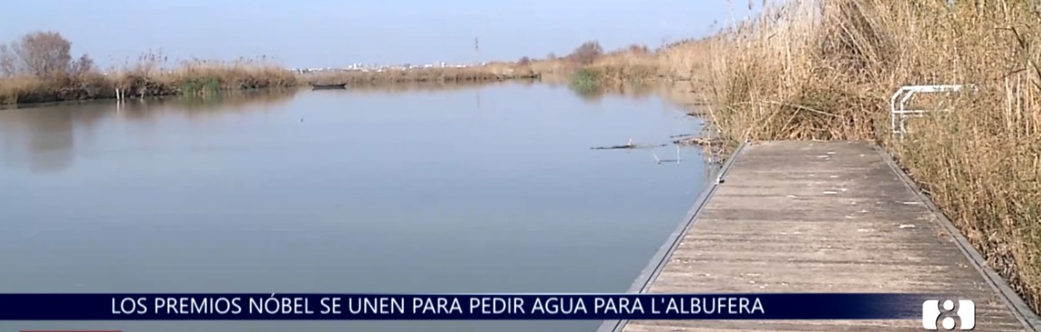Una veintena de premios Nobel piden a la Unesco que la Albufera sea Reserva de la Biosfera