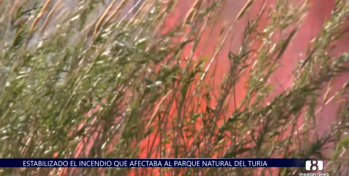 Declarado un incendio forestal en Guadasséquies