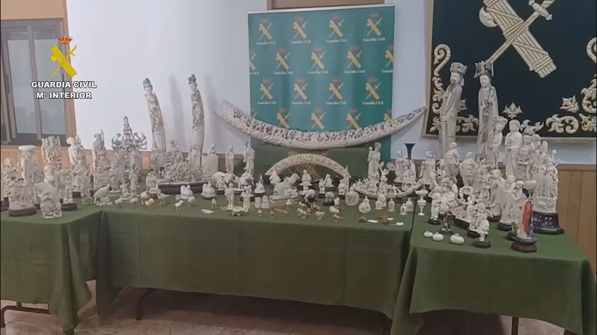 Intervenida una gran colección de piezas de marfil en Valencia 