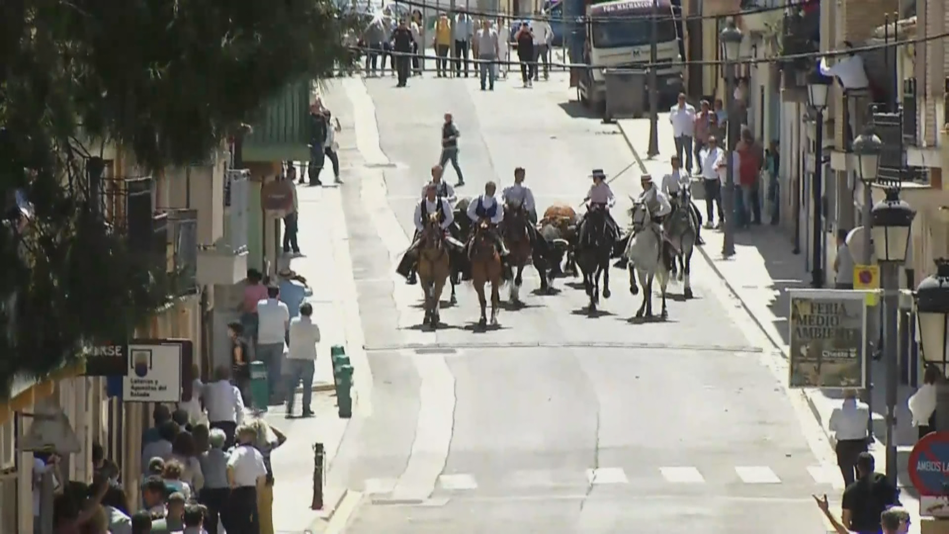 Vuelve a revivir la Entrada de Toros y Caballos de Cheste