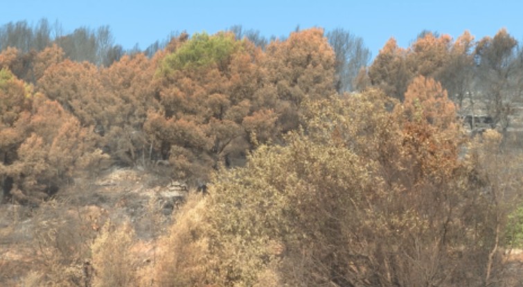 El incendio de la Vall d'Uixó se da por controlado 