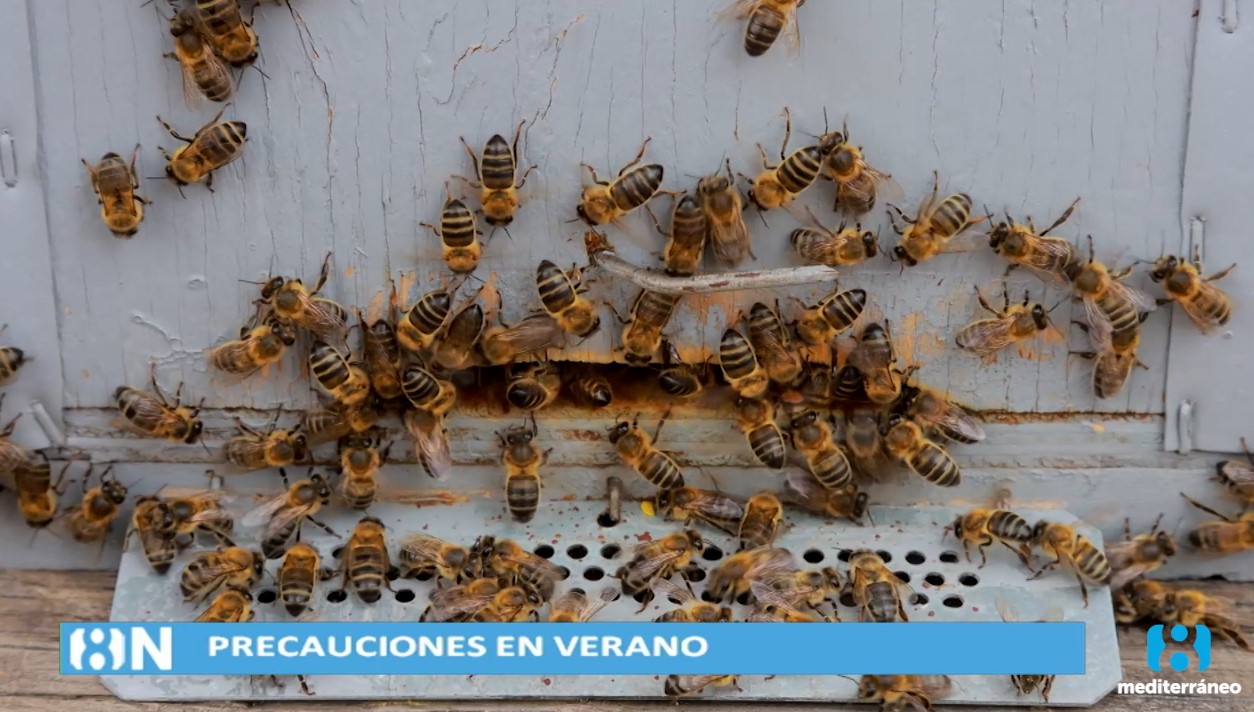 Los bomberos de Castellón reciben una media de 10 avisos al día en verano