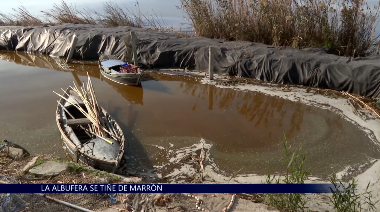 La Albufera se tiñe de color marrón