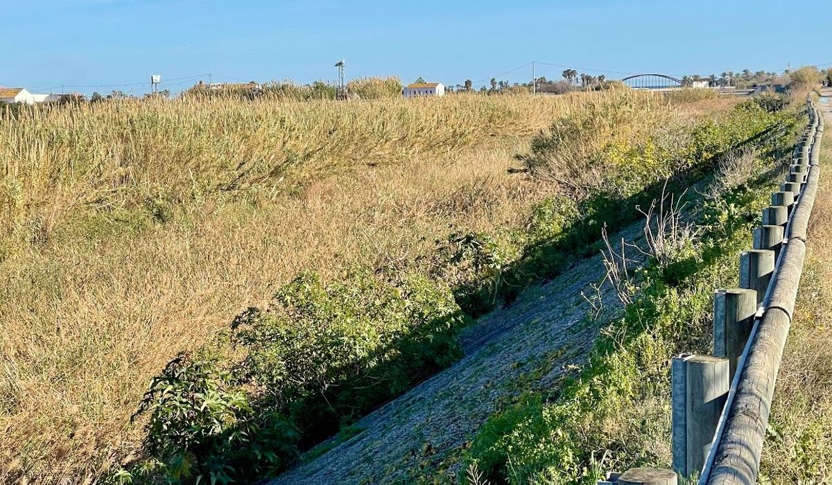 AVA-ASAJA denuncia el “abandono” del barranco del Carraixet 