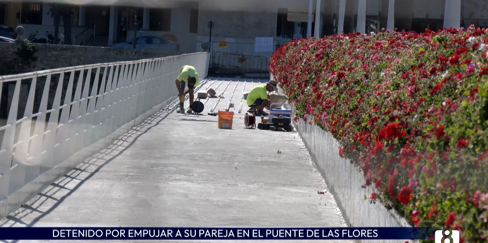 Detenido un joven por tirar a su novia por el puente de las Flores de Valencia